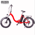 Elektrorad billig 48V1000W 20inch fettes elektrisches Fahrrad, Qualität ebike